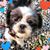 Kim Bartlebaugh's profile image