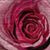 Tina Johnson's profile image
