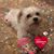 Heidi Hoglund's profile image