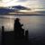 Carrie DirtyRed Trenner's profile image