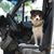 Doreen Willis Isaacson's profile image