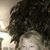 Renee Unbehagen Boles's profile image