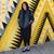 Rebecca Gottesman's profile image
