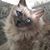 Dawna Hilliker's profile image