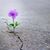 Julie Govin Malcolm's profile image