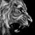Diego Viviani's profile image