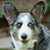Tina Brooks-Bosemer's profile image