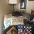 Laura Leigh Liggett's profile image