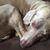 Gregory Turley's profile image