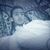 Prince Abdullah's profile image