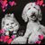 Sherrie Melton Bailey's profile image