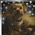 Jenifer Schrock's profile image