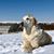 Mo Baumler's profile image