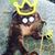 Laura M Walton's profile image