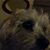 Mark Grosserhode's profile image