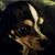 Rum Ellingwood's profile image