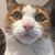 Fawn Downey's profile image