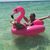 Kate Luby's profile image