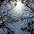 Kristi Thryselius Fredrickson's profile image