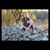 Leann Wright's profile image