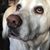 Karen Tivnan Myers's profile image