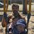 Nick D. Pavoldi's profile image