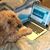 Larry Roth's profile image