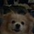 Damaris Vazquez Cruz's profile image