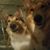 Leigh Jacobs's profile image