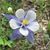 Sandi Comer's profile image