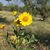 Holly Michele Bonorden Jentsch's profile image