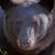 Page Steed's profile image