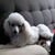 Nettie Smith's profile image