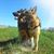Heidi Brewer's profile image