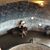 Michelle Weddle's profile image