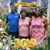 Doris Webb's profile image