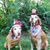 Sandy Hutto's profile image