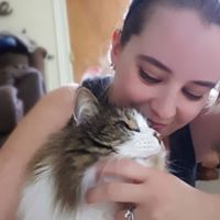 Kelly Beaudoin's profile image