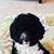 Stephen Fredrick Heller's profile image
