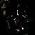 Devon Gunn's profile image