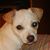 Karen Hollingsworth's profile image