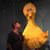 Mark Charles Berlin's profile image