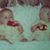 Joan Gibson's profile image