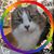 Kitty Carlisle's profile image