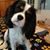 Deb Juhl's profile image