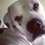 Kelly Wilken's profile image