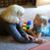 Patty Hambrick's profile image