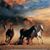 Stephanie Turner Koiner's profile image