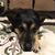 Diane Weinberg's profile image