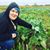 Callista Mae-Wolf's profile image